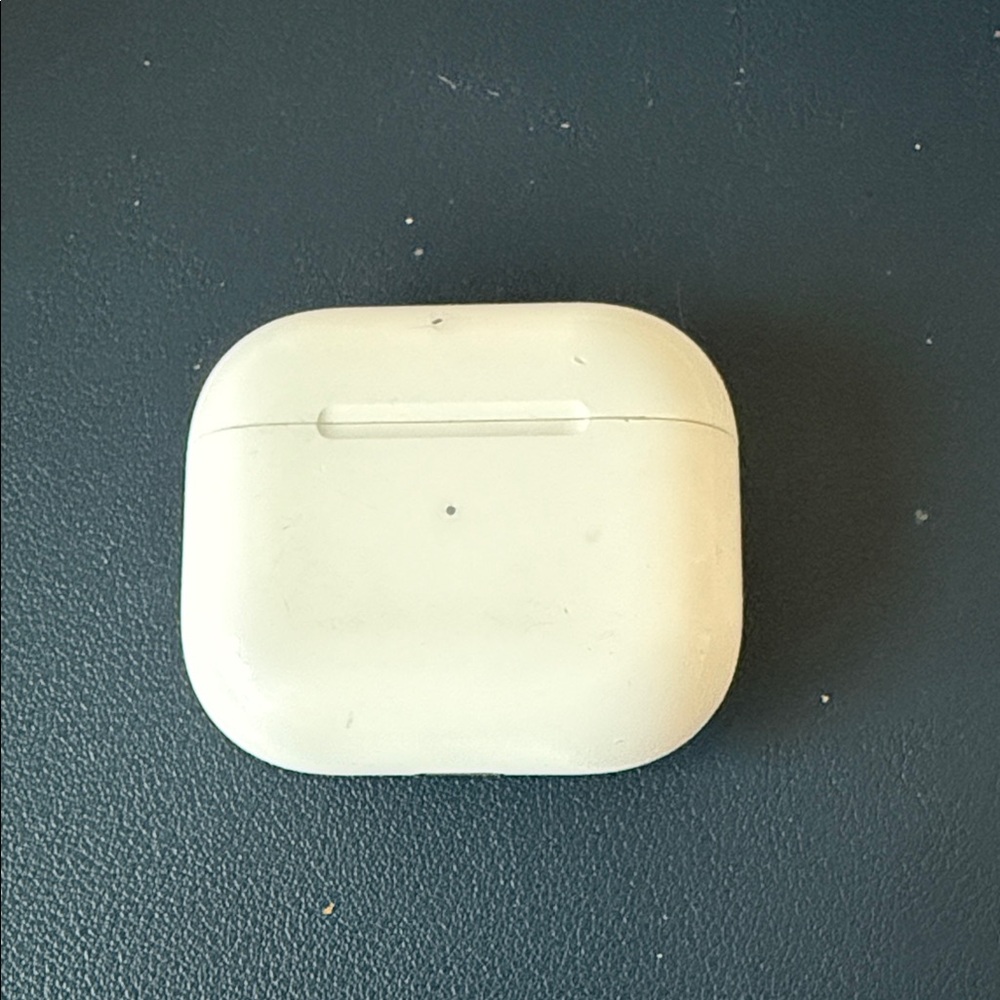 Apple White Earbud Headphones CASE only